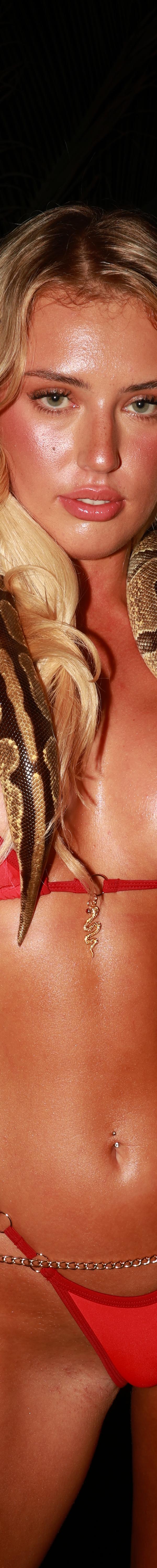Serpent